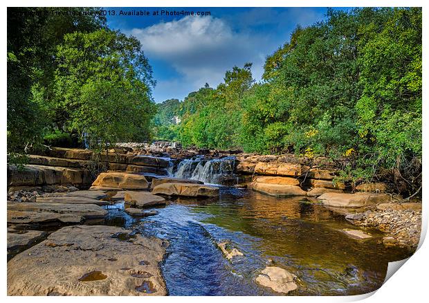 Along The River Swale Print by Trevor Kersley RIP