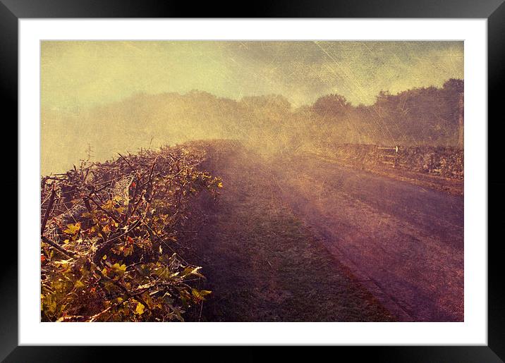Golden Morning Framed Mounted Print by Dawn Cox