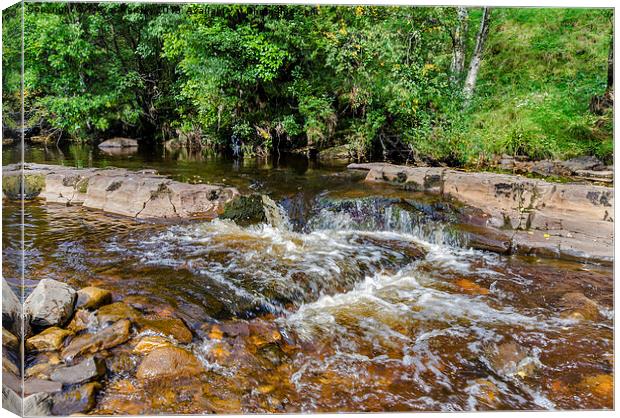 The River Swale. Canvas Print by Trevor Kersley RIP