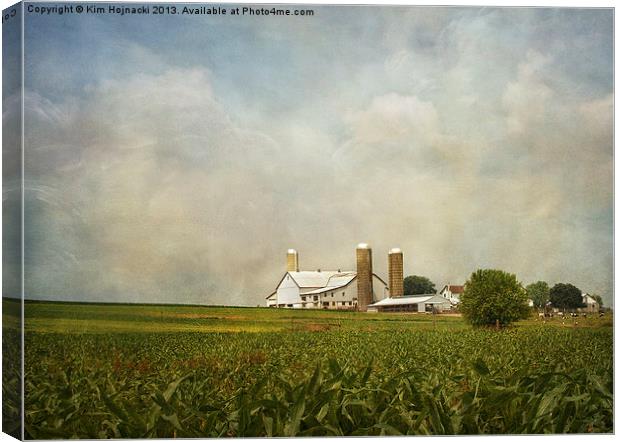 Amish Farmland Canvas Print by Kim Hojnacki