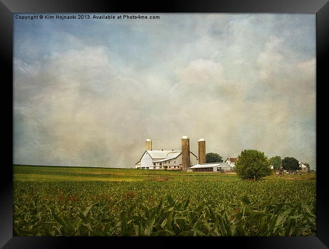 Amish Farmland Framed Print by Kim Hojnacki