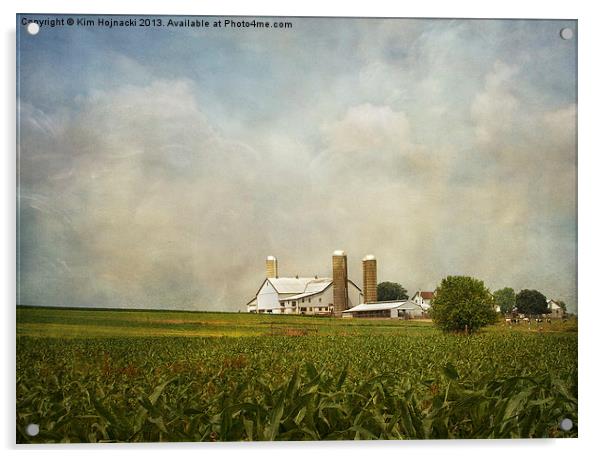 Amish Farmland Acrylic by Kim Hojnacki