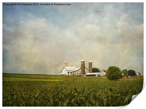 Amish Farmland Print by Kim Hojnacki