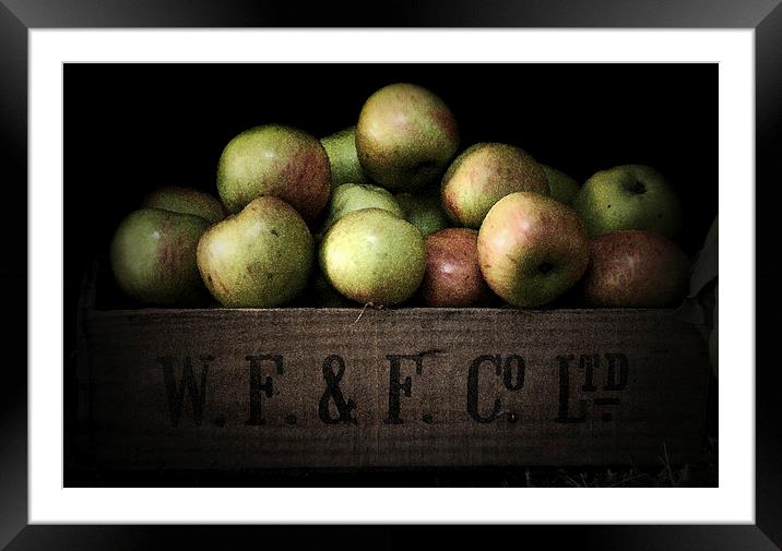 Apple Crate Framed Mounted Print by Scott Anderson