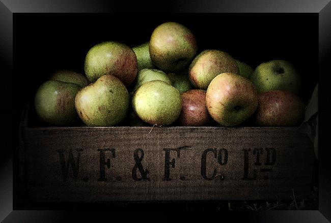 Apple Crate Framed Print by Scott Anderson