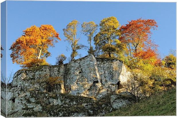 AUTUMN IN BERESFORD DALE Canvas Print by Helen Cullens