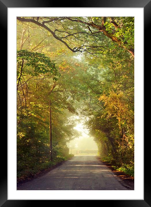 Walking towards the light Framed Mounted Print by Dawn Cox
