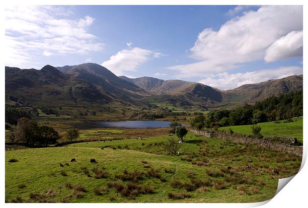 Little Langdale Print by Jacqi Elmslie