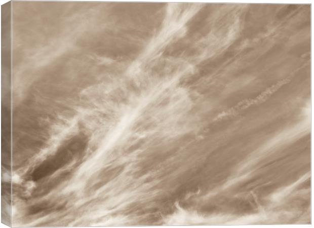 Sepia sky Canvas Print by David Pyatt