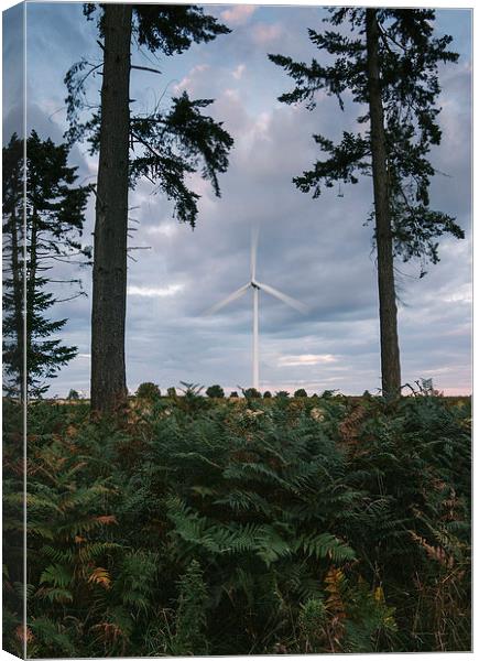 Wind turbine framed between two trees at dusk. Canvas Print by Liam Grant