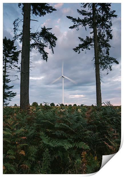Wind turbine framed between two trees at dusk. Print by Liam Grant