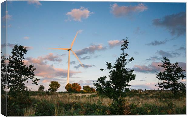 Wind turbine lit with evening light at sunset. Canvas Print by Liam Grant