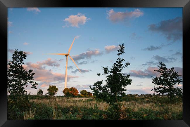 Wind turbine lit with evening light at sunset. Framed Print by Liam Grant