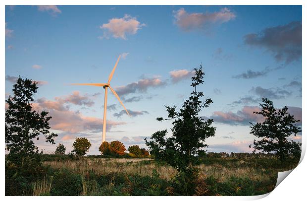 Wind turbine lit with evening light at sunset. Print by Liam Grant