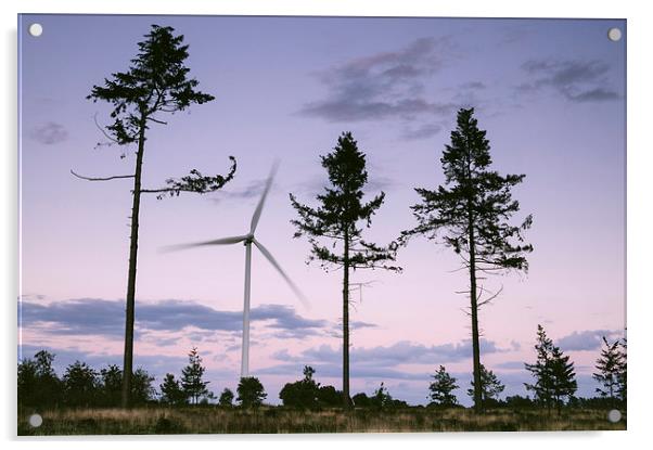 Wind turbine framed between three trees at dusk tw Acrylic by Liam Grant