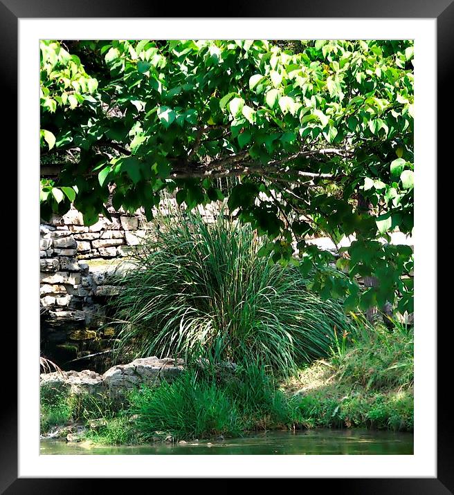 By the Small Pond Framed Mounted Print by Pics by Jody Adams