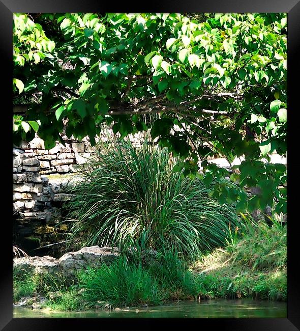 By the Small Pond Framed Print by Pics by Jody Adams