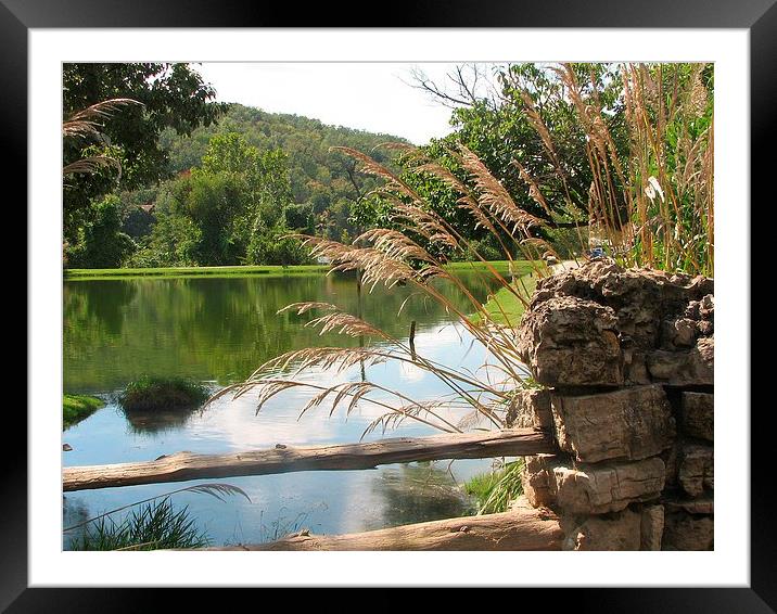 At the Large Pond Framed Mounted Print by Pics by Jody Adams