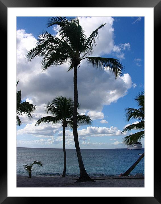 Silhouette of Palm Framed Mounted Print by Ryan Harris