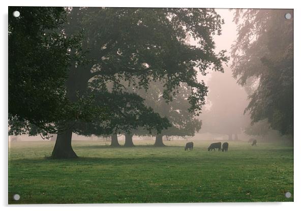 Cattle and trees in heavy fog. Acrylic by Liam Grant