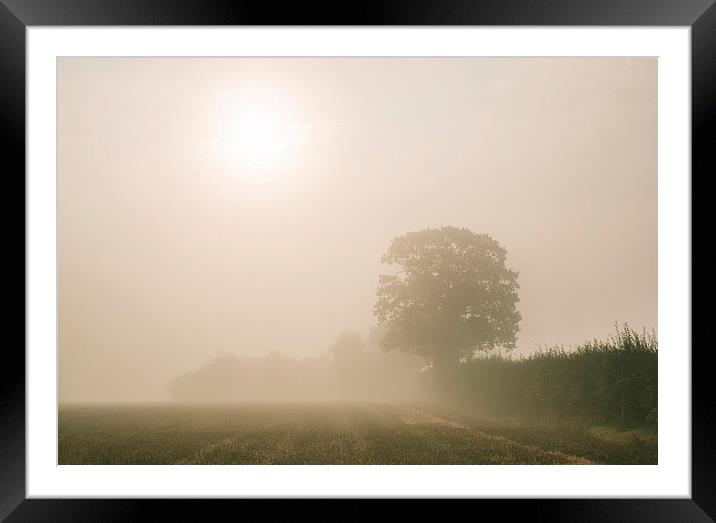 Sunrise burning through heavy fog over countryside Framed Mounted Print by Liam Grant