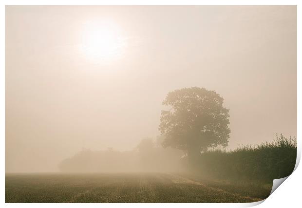 Sunrise burning through heavy fog over countryside Print by Liam Grant