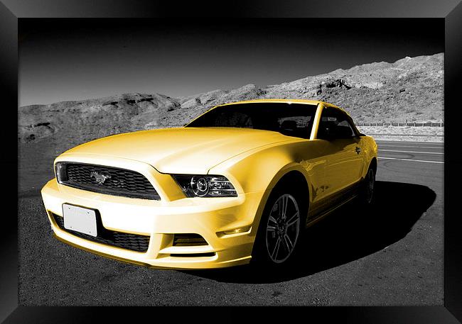 Yellow Mustang Framed Print by Rob Hawkins