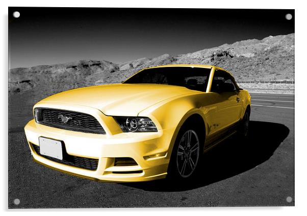 Yellow Mustang Acrylic by Rob Hawkins