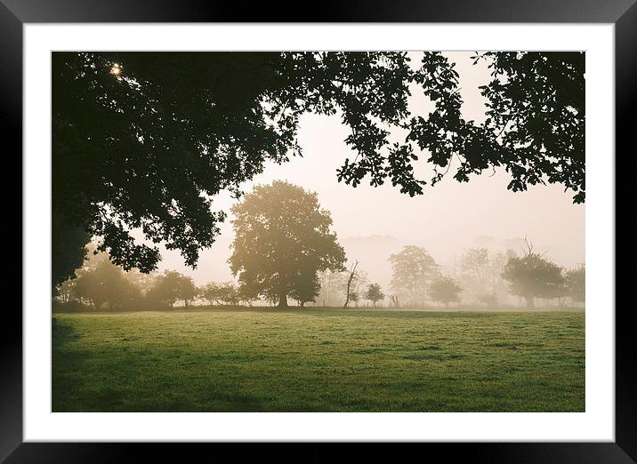 Sunrise burning through heavy fog over countryside Framed Mounted Print by Liam Grant