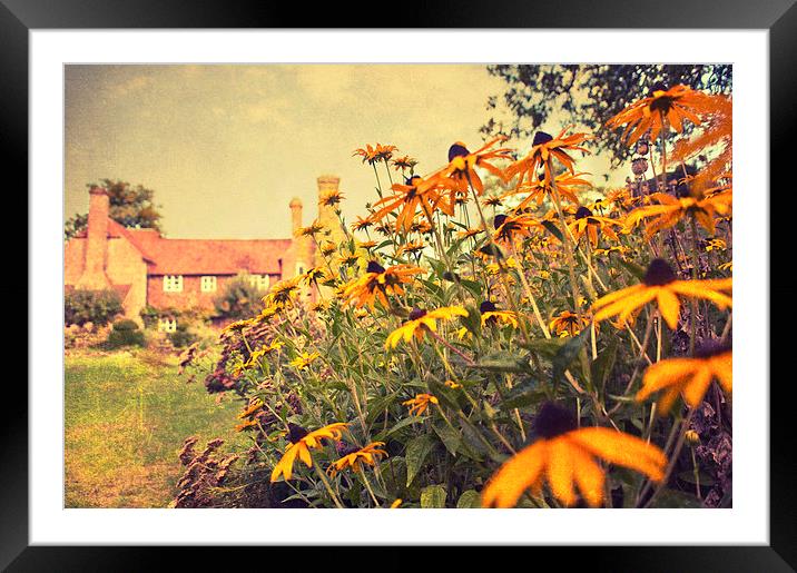 English country garden Framed Mounted Print by Dawn Cox