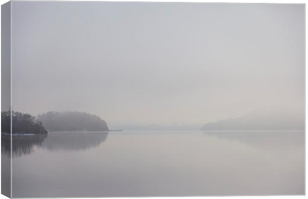 Misty Day Series - 3 of 23 Canvas Print by Gary Finnigan