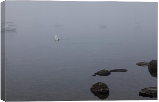 Misty Day Series - 10 of 23 Canvas Print by Gary Finnigan