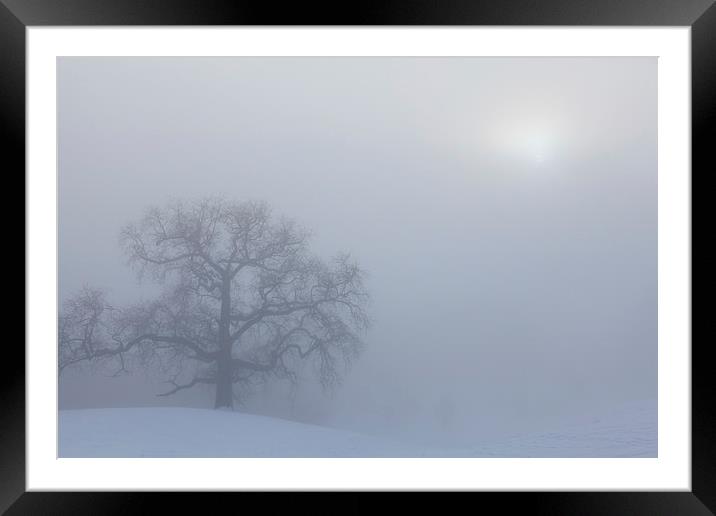 Misty Day Series - 11 of 23 Framed Mounted Print by Gary Finnigan