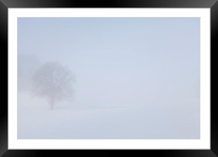 Misty Day Series - 12 of 23 Framed Mounted Print by Gary Finnigan