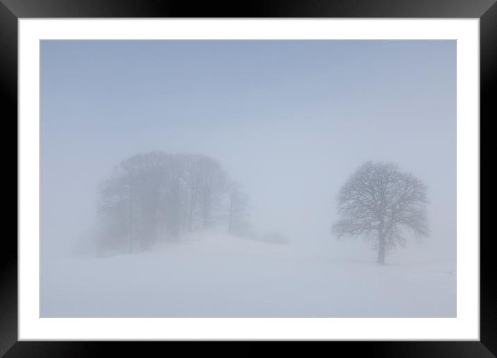 Misty Day Series - 13 of 23 Framed Mounted Print by Gary Finnigan