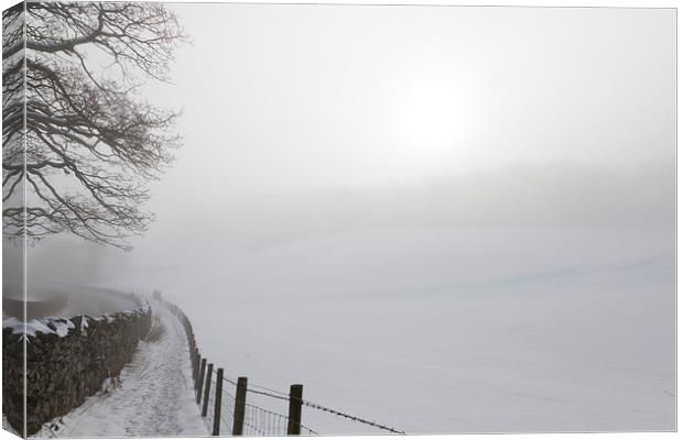 Misty Day Series - 17 of 23 Canvas Print by Gary Finnigan