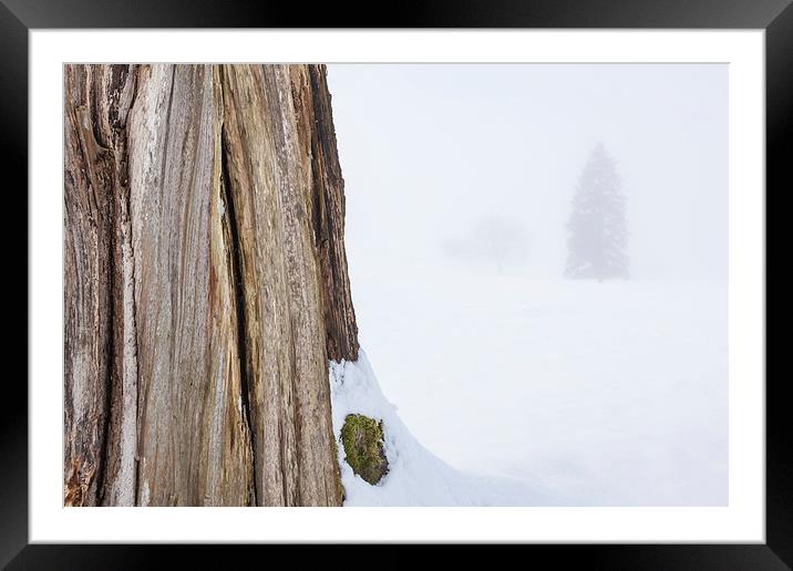 Misty Day Series - 19 of 23 Framed Mounted Print by Gary Finnigan