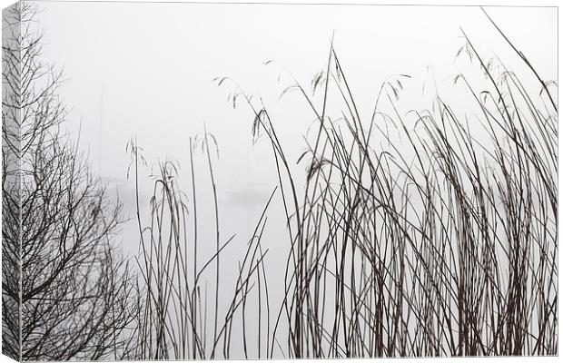 Misty Day Series - 20 of 23 Canvas Print by Gary Finnigan