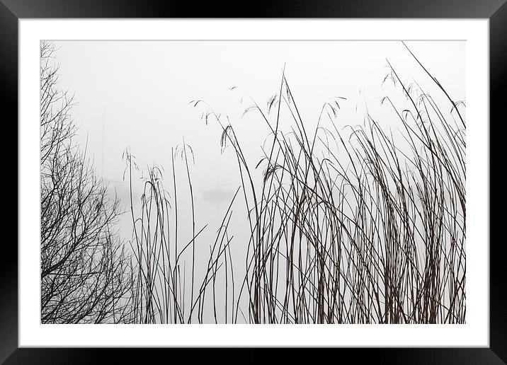Misty Day Series - 20 of 23 Framed Mounted Print by Gary Finnigan