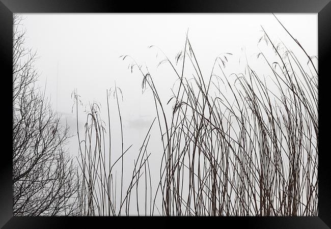 Misty Day Series - 20 of 23 Framed Print by Gary Finnigan