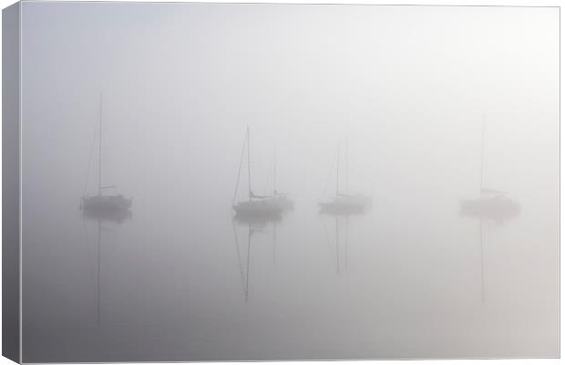 Misty Day Series - 21 of 23 Canvas Print by Gary Finnigan