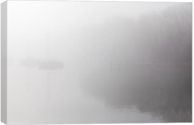 Misty Day Series - 22 of 23 Canvas Print by Gary Finnigan