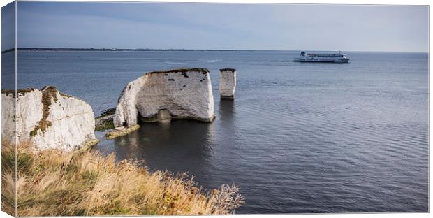 Ferry cross the bay Canvas Print by Phil Wareham