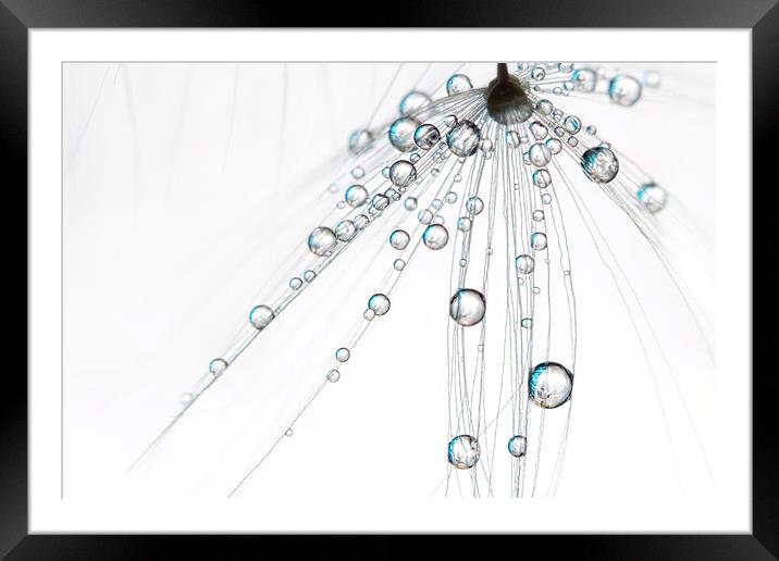 Ice White Drops Framed Mounted Print by Sharon Johnstone