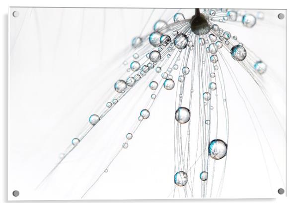 Ice White Drops Acrylic by Sharon Johnstone
