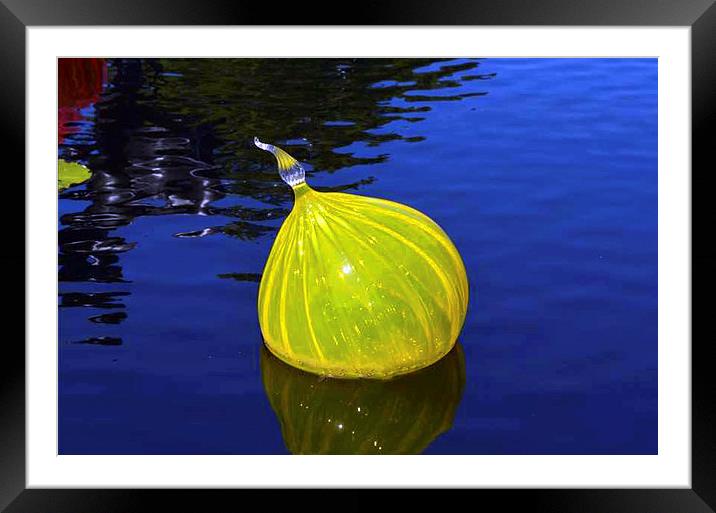 Yellow Chihuly Blown Glass Framed Mounted Print by Pamela Briggs-Luther