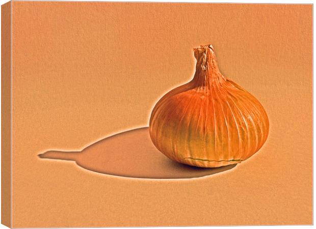 Onion on canvas Canvas Print by Robert Gipson