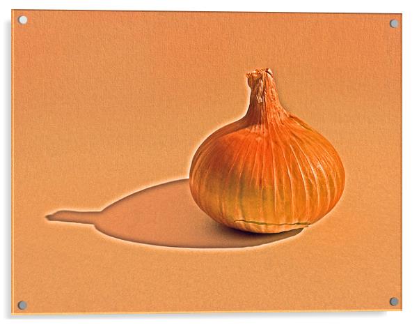 Onion on canvas Acrylic by Robert Gipson