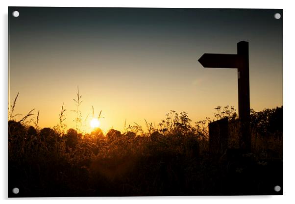 Lincolnshire sign post at sunset Acrylic by Ray Nelson