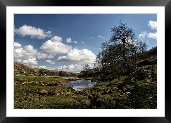 Yorkshire Dales View Framed Mounted Print by Ray Nelson